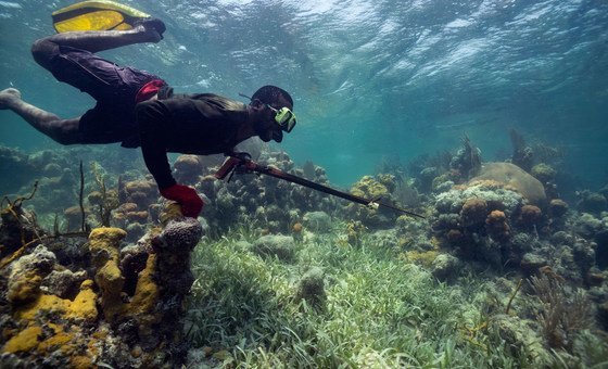 Coral reefs can support local jobs including fishing.