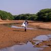 सोमालिया में एक महिला सूखी हुई नदी के पास खाना पकाने के लिये लकड़ी ढूँढ रही है.