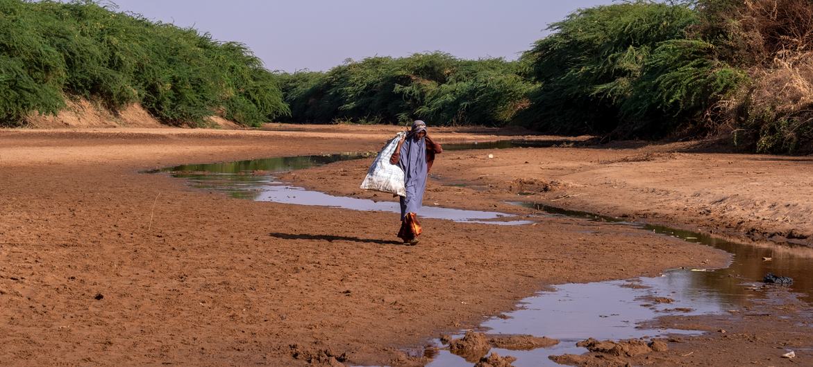 امرأة تبحث عن حطب الوقود على طول مجرى نهر دولو الجاف، الصومال.