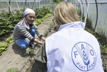 ФАО помогает фермерским хозяйствам в Кыргызстане