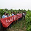 联合国粮农组织与中国政府相关部门合作开展的农民田间学校项目。