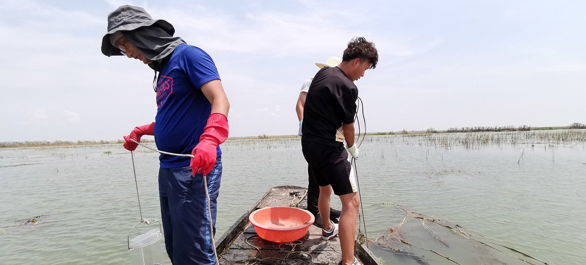 2019年，联合国粮农组织——全球环境基金江西省湿地保护区体系示范项目的湿地恢复团队在江西鄱阳湖常湖池进行沉水植物调查。