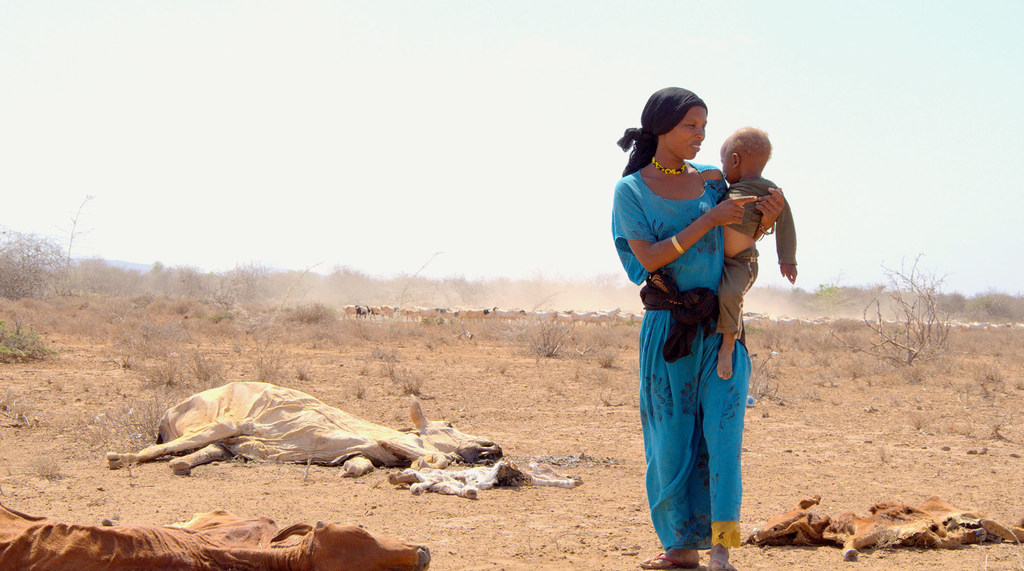 Una madre con su hijo en brazos caminado junto a los cadáveres del ganado muerto a causa de la grave sequía en Marsabit, en Kenya.