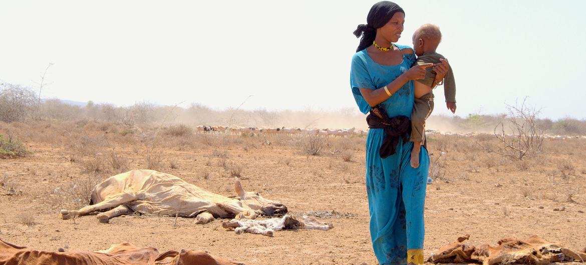 在肯尼亚马萨比特，一位母亲带着她的孩子走过因严重干旱而死亡的牲畜尸体旁。