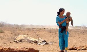 在肯尼亚马萨比特，一位母亲带着她的孩子走过因严重干旱而死亡的牲畜尸体旁。