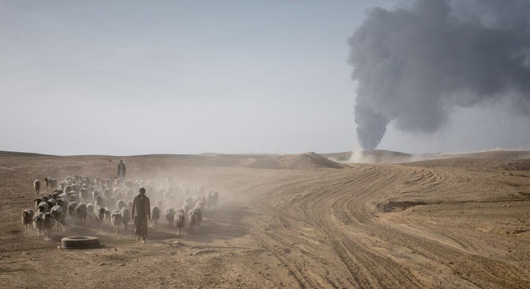 أحد الرعاة يقود ماشيته بعيدا عن القتال بين القوات العراقية وداعش في جنوب الموصل بالعراق.