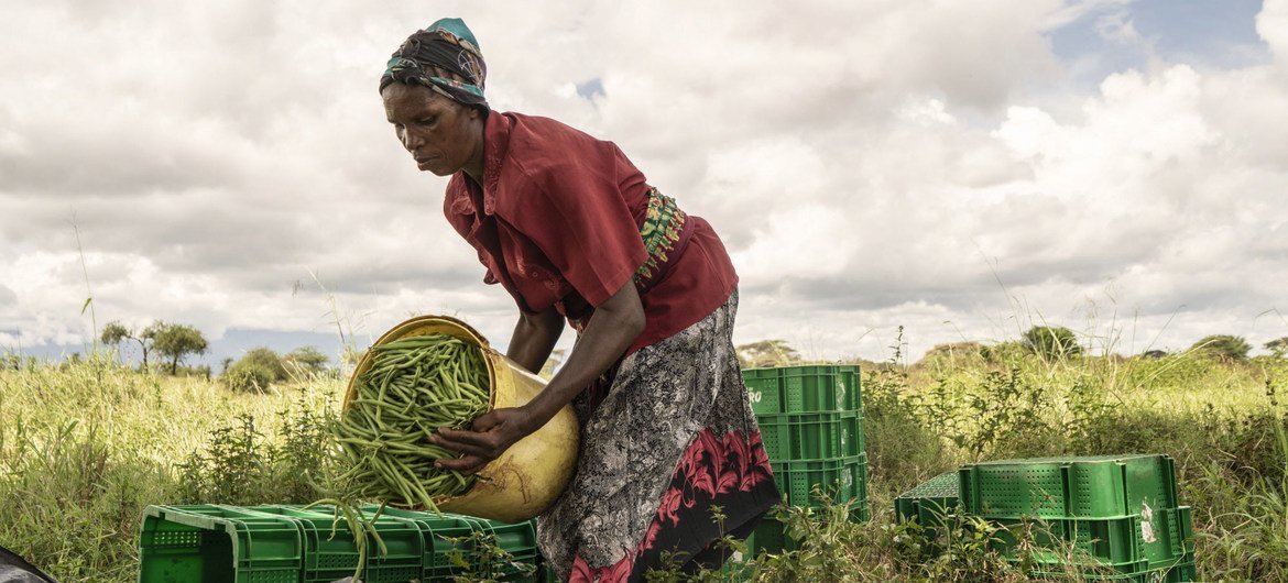 Farmers are peculiarly  susceptible  to impacts of the clime  crisis, specified  arsenic  utmost  heat, rising oversea  levels, drought, floods, and locust attacks