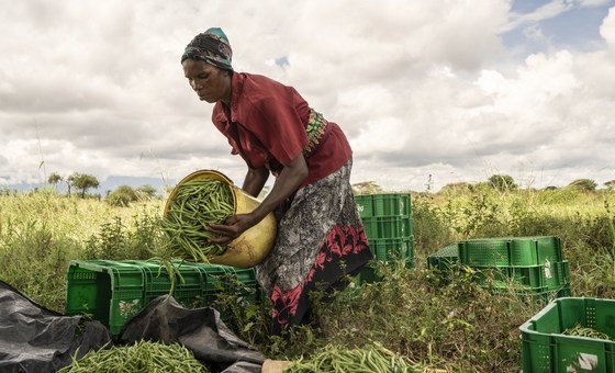 Farmers are particularly vulnerable to impacts of the climate crisis, such as extreme heat, rising sea levels, drought, floods, and locust attacks