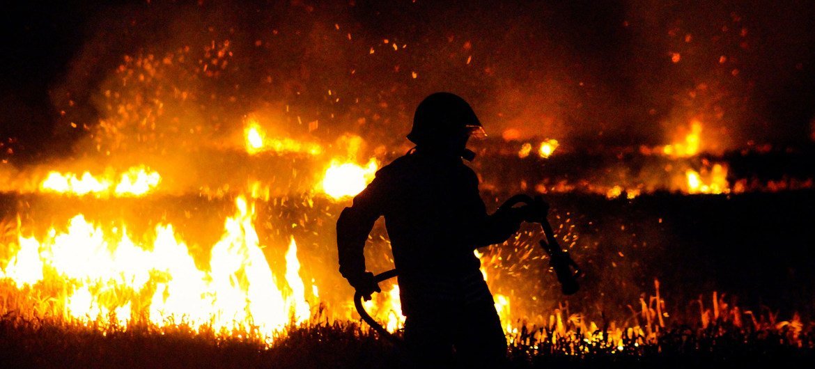 Un pompier lutte contre un feu de forêt.