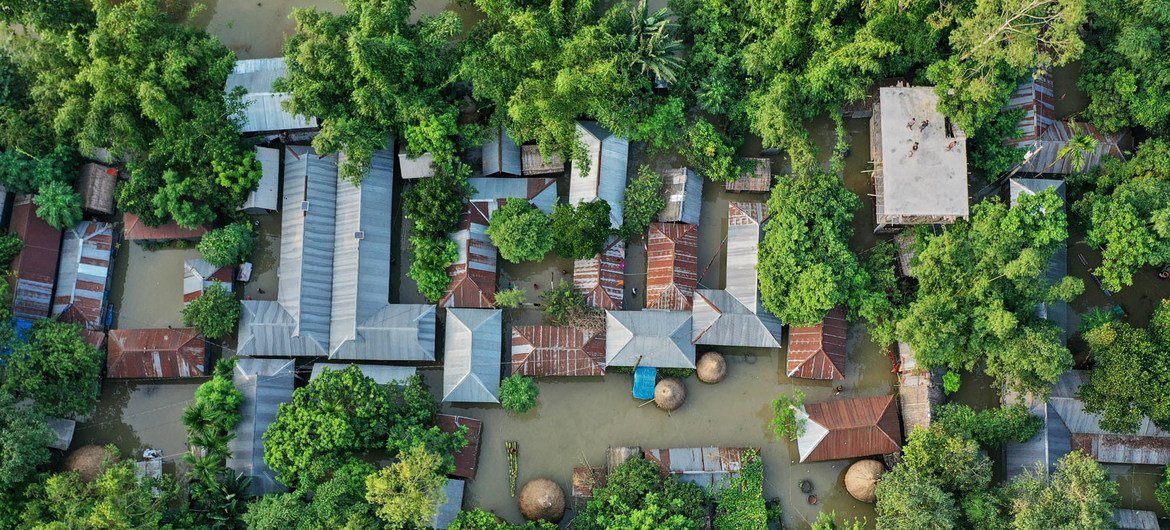 孟加拉国东北部的古里格拉姆，严重的洪水淹没了整个村庄。（2019年7月图片）