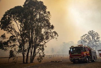 Combate a incêndios florestais podem ser arma na luta contra ao clima