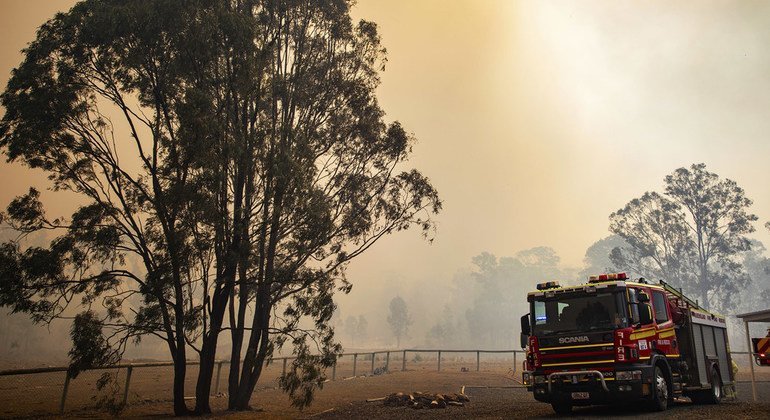 Los incendios forestales se han desatado en Queensland y Nueva Gales del Sur en Australia