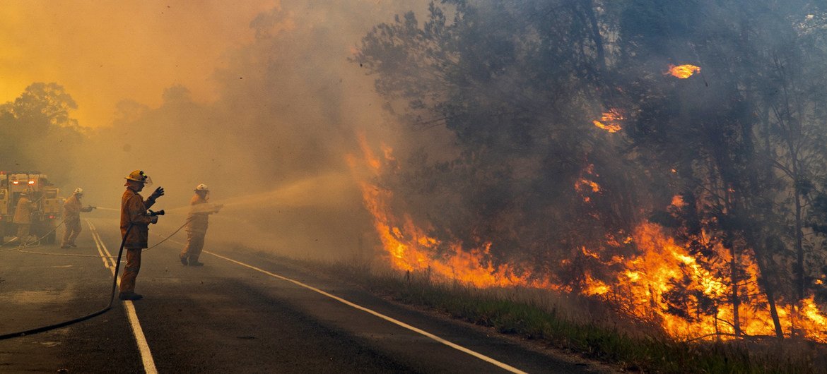 Relatórios da Austrália mostram que mais de 10 milhões de hectares, uma área do tamanho da Inglaterra, queimaram na segunda semana de janeiro.