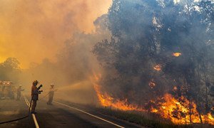 Firefighters in Queensland, Australia, tackle a blaze which is threatening local communities.