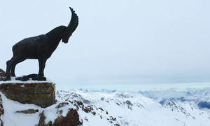 The Swiss Alps as seen from St Moritz.