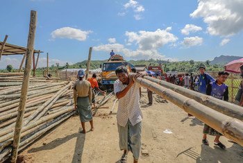 Workers in Cox’s Bazar, Bangladesh, transfer the latest batch of green bamboo poles from a six-foot-deep pond to a nearby drying station.