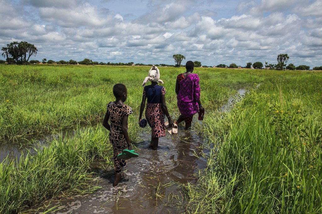 在南苏丹团结州，一名妇女正和她的家人在洪水泛滥的平原上涉水回家。
