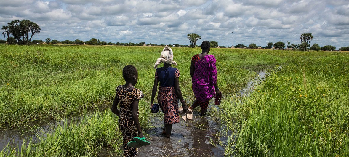在南苏丹团结州，一名妇女正和她的家人在洪水泛滥的平原上涉水回家。