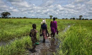 A woman and her family wade through a flooded plain to reach their home in Thaker, Unity state, South Sudan.