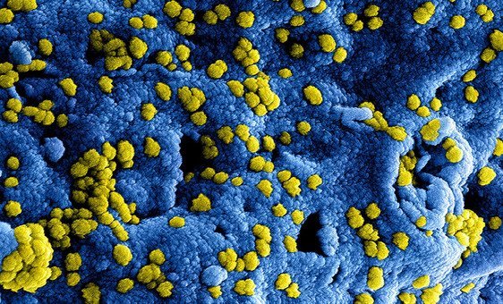 Nova cepa do coronavírus já infetou mais de 100 mil pessoas.