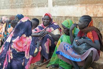 联合国难民署和合作伙伴已经将苏丹和南苏丹的难民转移到埃塞俄比亚贝尼山古尔古穆兹地区的安全地带。