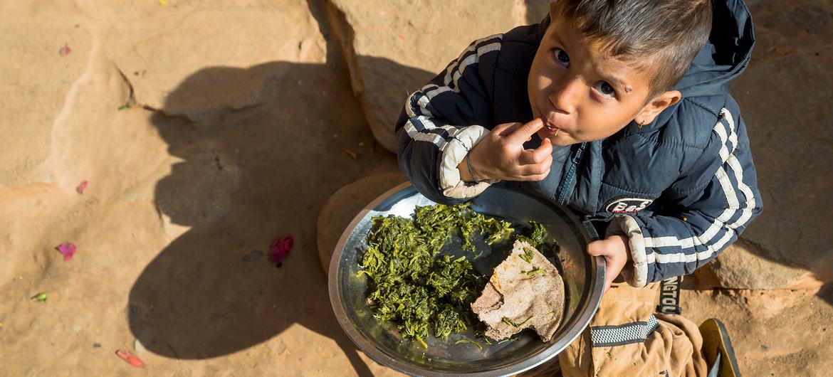 一个小男孩是联合国儿童基金会营养计划的受益者，他在吃绿叶蔬菜和面包。