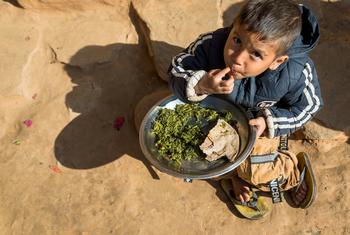 一个小男孩是联合国儿童基金会营养计划的受益者，他在吃绿叶蔬菜和面包。
