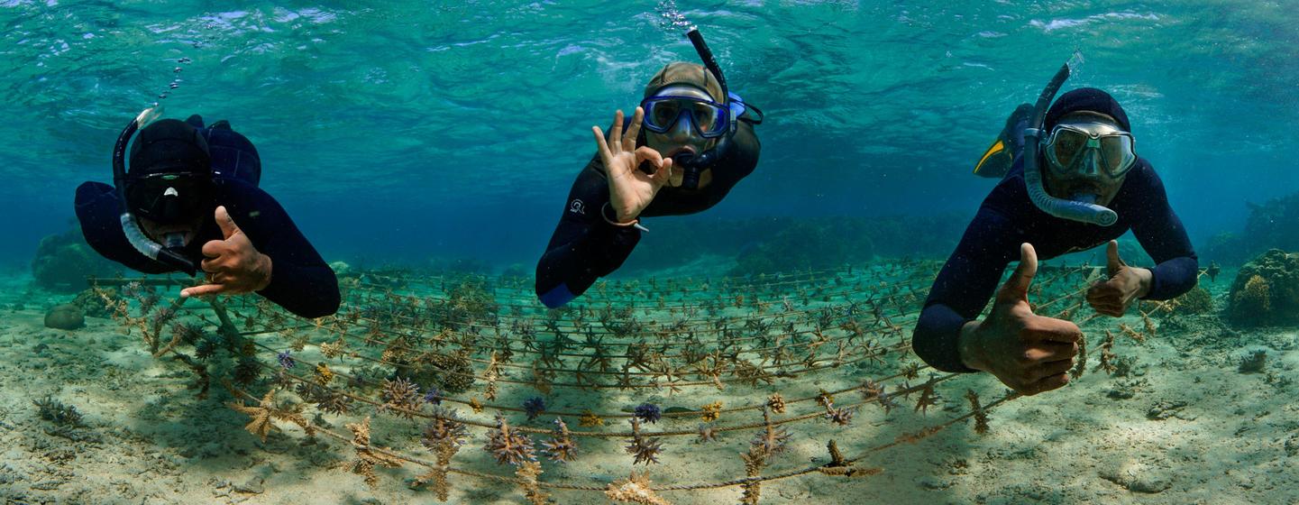 Coral reef rope nursery in Korolevu-i-Wai District, Fiji. Coral reef rope nursery in Korolevu-i-Wai District, Fiji.
