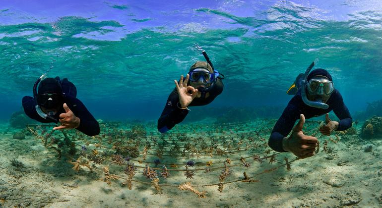 Vivero de cuerdas en el arrecife de coral del distrito de Korolevu-i-Wai, en Fiji.