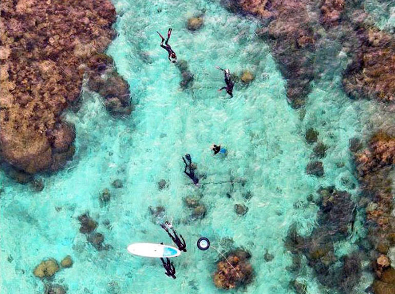 Une pépinière de récifs coralliens, aux Fidji.