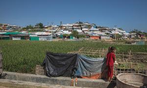 बांग्लादेश ने, म्याँमार में हिंसा और उत्पीड़न के पाँच अलग-अलग दौर के बाद वहाँ से भागे रोहिंज्या शरणार्थियों को अपने यहाँ शरण मुहैया कराई है.
