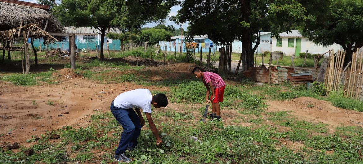 Jóvenes rionegrinos trabajando en su parcela.