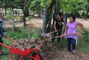 Women in Rio Negro preparing the soil for planting.