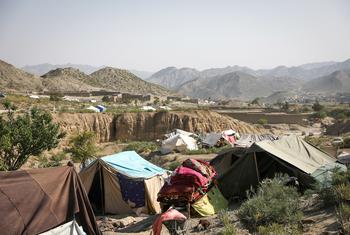 Victims and humanitarians are gathering on a plateau, facing Giyan. 