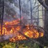 Incendio forestal en la provincia canadiense de Saskatchewan.