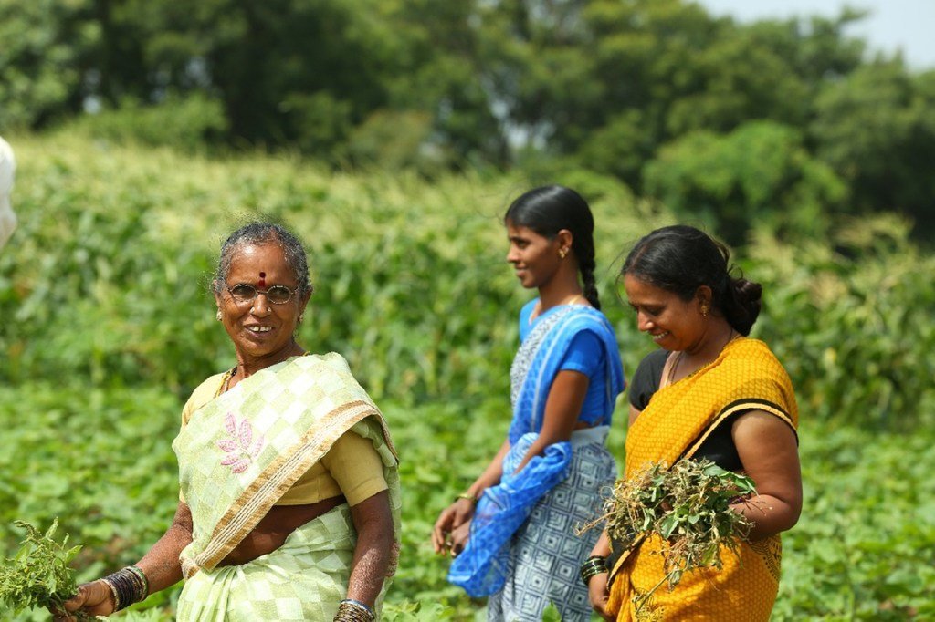 在宜家基金会的支持下，迪沙项目(Disha Project)推广有机耕作方法，以经济方式赋予女农民权力。