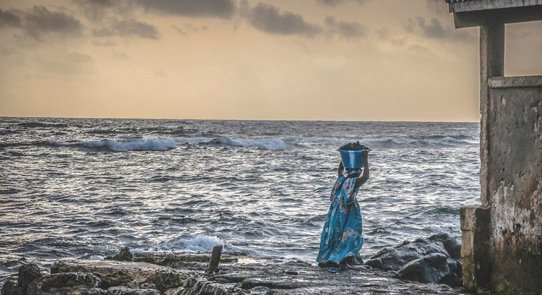 Une femme transporte des fruits de mer sur la côte au Sénégal,