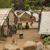 莫桑比克德尔加杜角境内流离失所者营地的儿童。