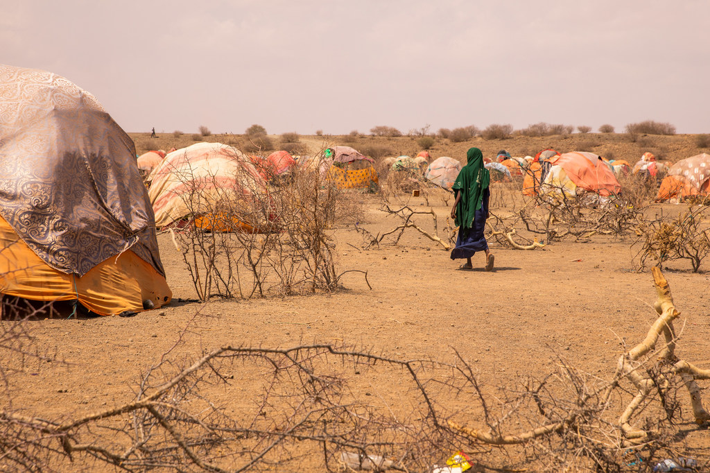 Familias desplazadas afectadas por la sequía, en la Región de Somali de Etiopía.