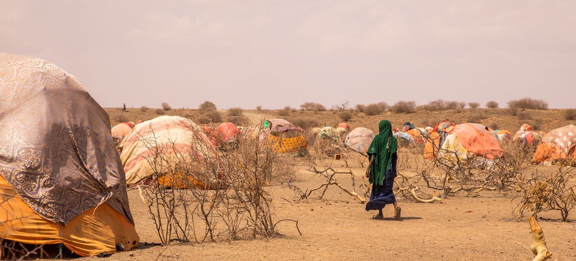 सूखे से प्रभावित विस्थापित परिवार, सोमाली क्षेत्र, इथियोपिया।