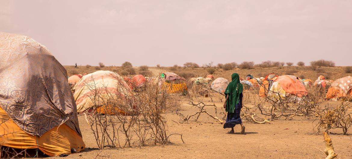 Des familles déplacées par la sécheresse dans la région Somali, en Ethiopie.