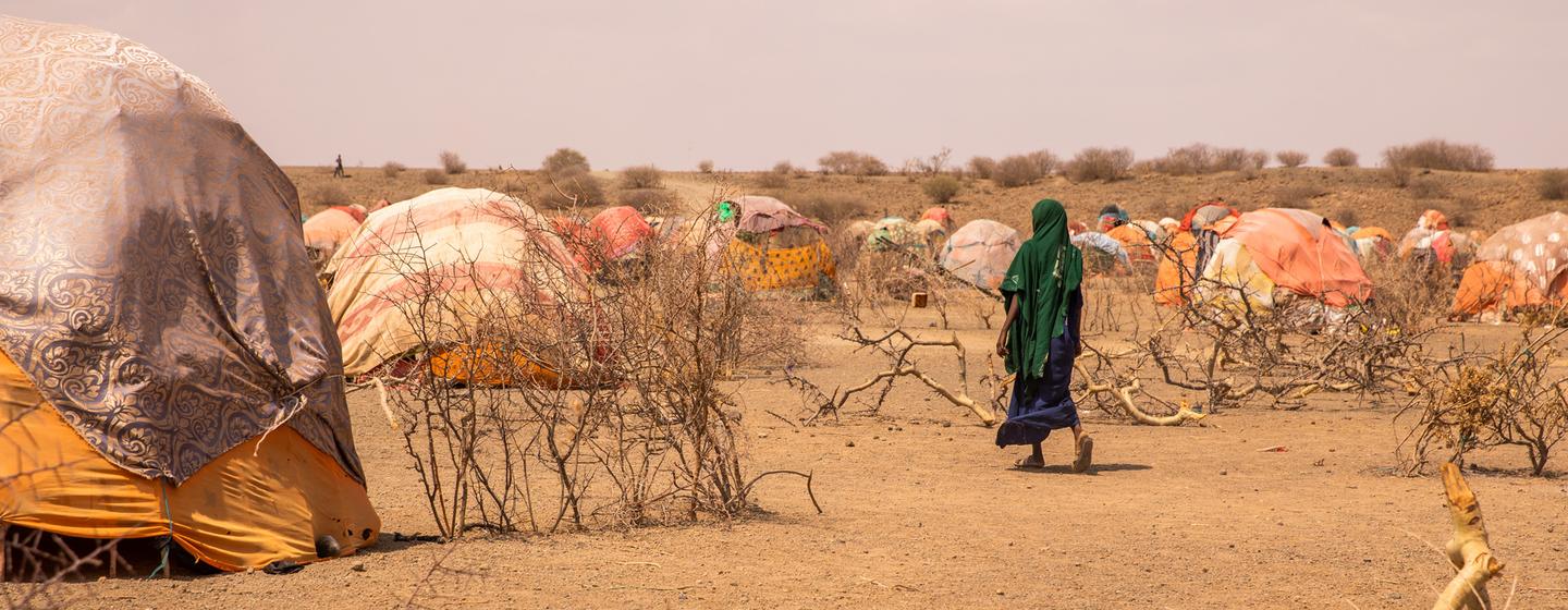 Des familles déplacées par la sécheresse dans la région Somali, en Ethiopie.