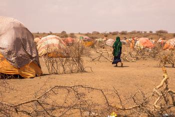 العائلات النازحة المتضررة من الجفاف، المنطقة الصومالية، إثيوبيا.