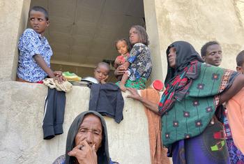 (من الأرشيف) برنامج الأغذية العالمي يوزع حصصاً غذائية طارئة على المجتمعات المتضررة من النزاع، إثيوبيا.