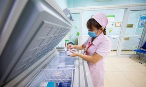 越南河内医科大学的一名工作人员正在准备新冠疫苗。