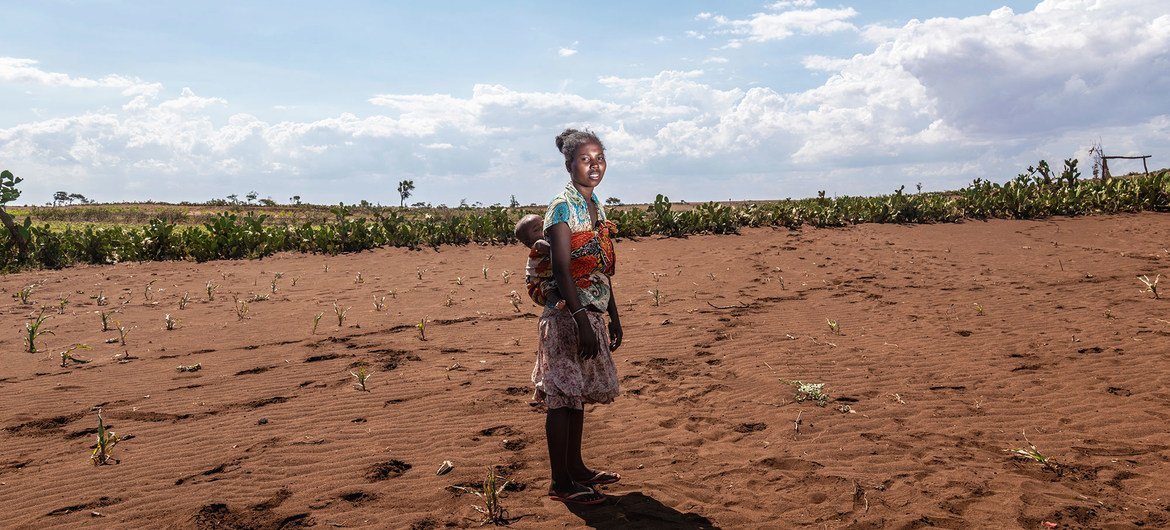 UNICEF is assisting farmers in the recovery of their crops in drought-stricken Madagascar.