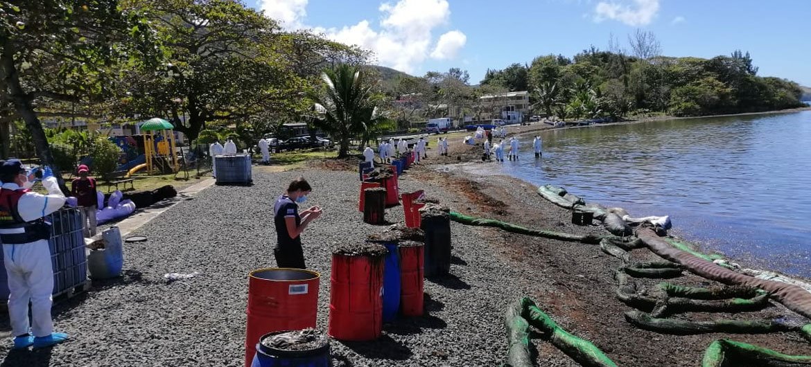 Staff from the International Organization for Migration (IOM) and experts assess the oil spill impact at Bois des Amourettes, Grand Port in Mauritius.