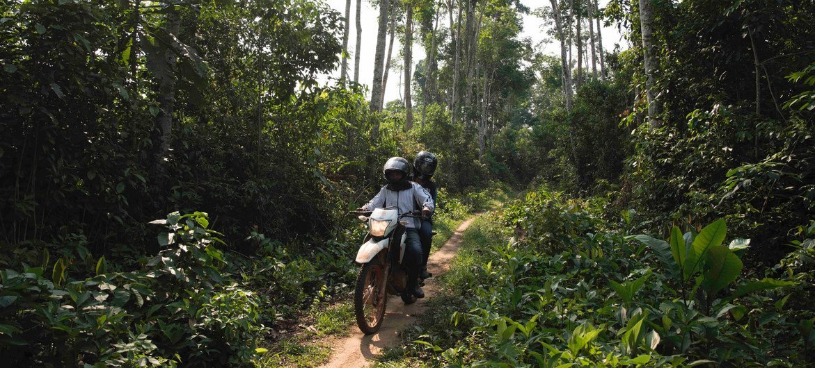 Marie-Roseline Darnycka Bélizaire, an epidemiologist with the World Health Organisation, rides through the forest near Itipo on the way to a follow-up visit with a contact.