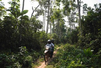 Marie-Roseline Darnycka Bélizaire, an epidemiologist with the World Health Organisation, rides through the forest near Itipo on the way to a follow-up visit with a contact. 