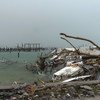巴哈马的马什港遭到飓风多里安的破坏。 （2019年9月）